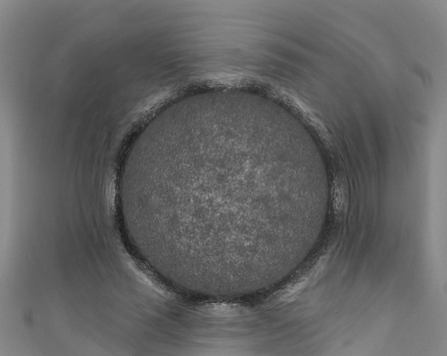 X0000111180637200907081236