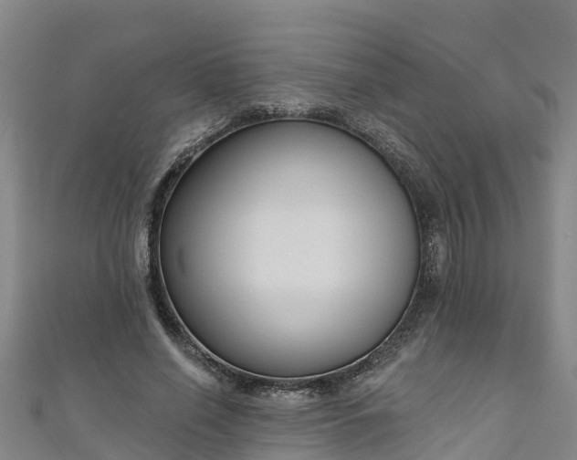 X0000111180638200907081236