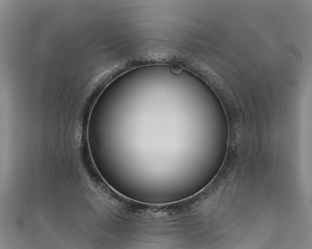 X0000111180640200907081236