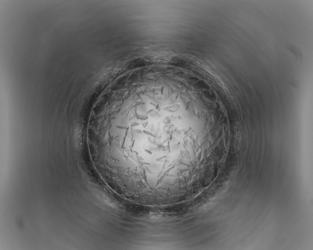 X0000111180641200907081236