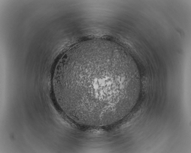 X0000111180642200907081236