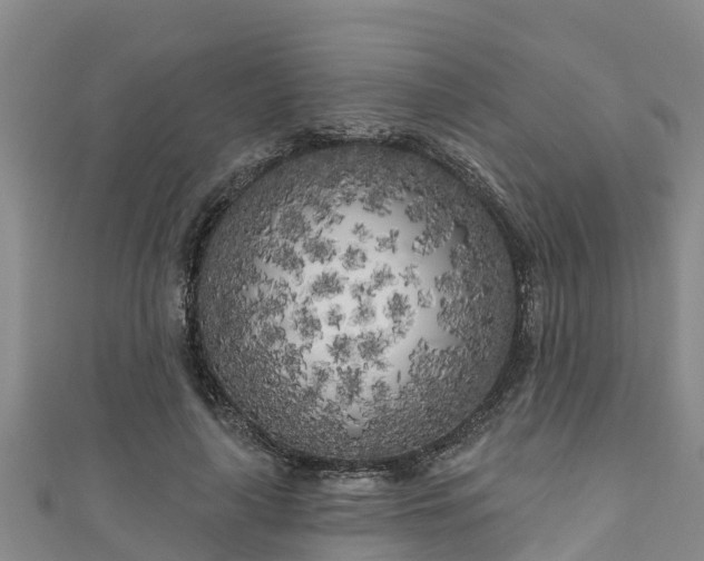 X0000111180643200907081236