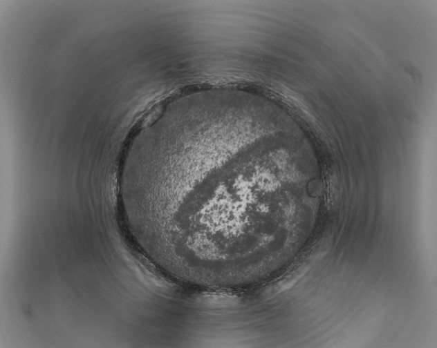 X0000111180644200907081236