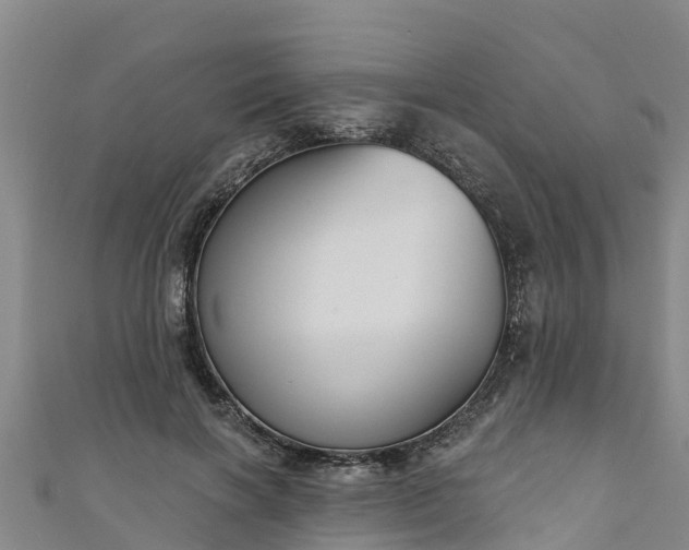 X0000111180646200907081236