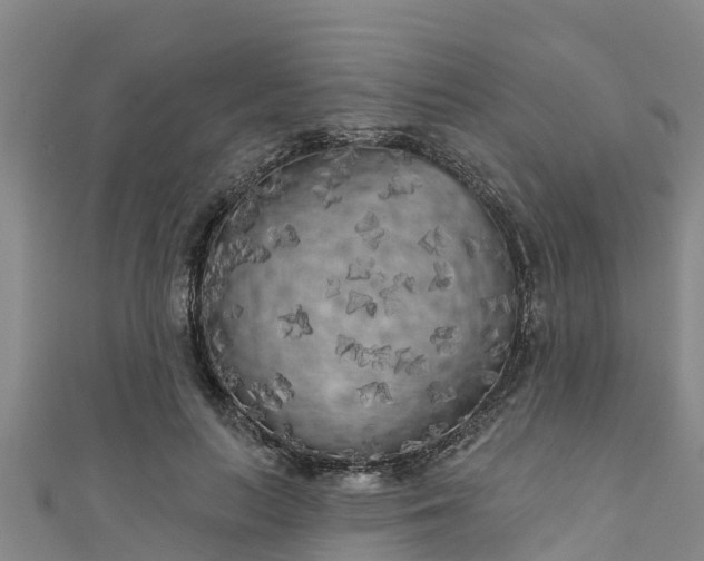 X0000111180647200907081236