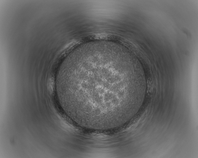 X0000111180648200907081236