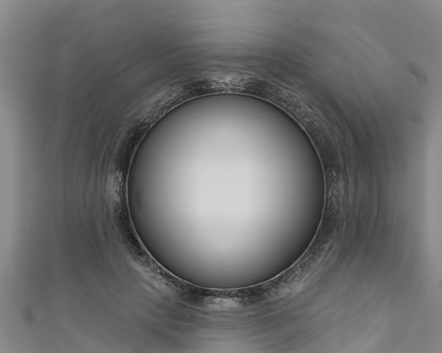 X0000111180649200907081236