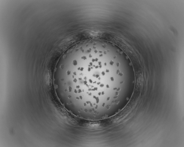 X0000111180651200907081236