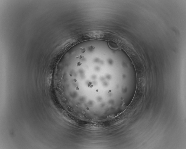 X0000111180652200907081236