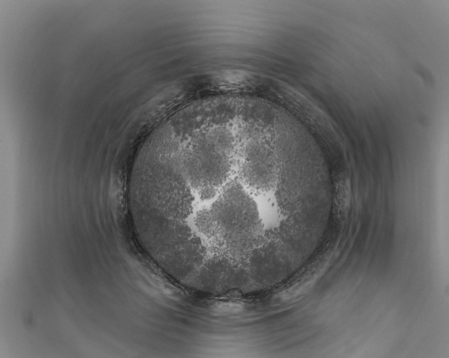 X0000111180653200907081236