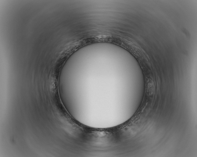 X0000111180654200907081236