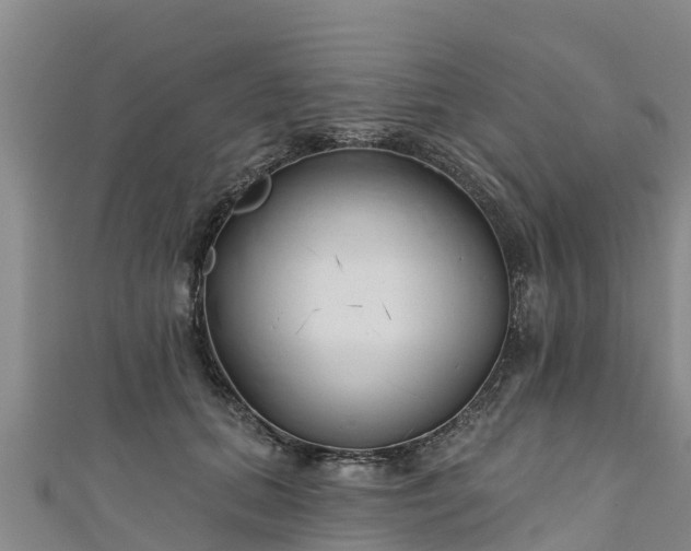 X0000111180655200907081236