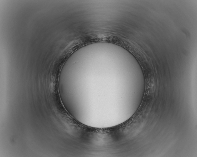 X0000111180656200907081236