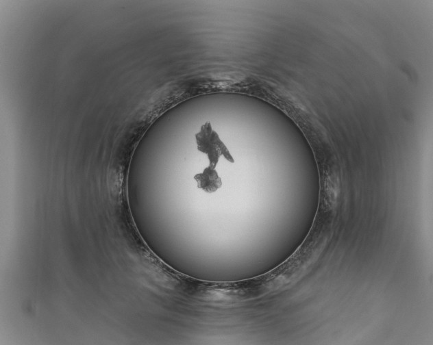 X0000111180657200907081236