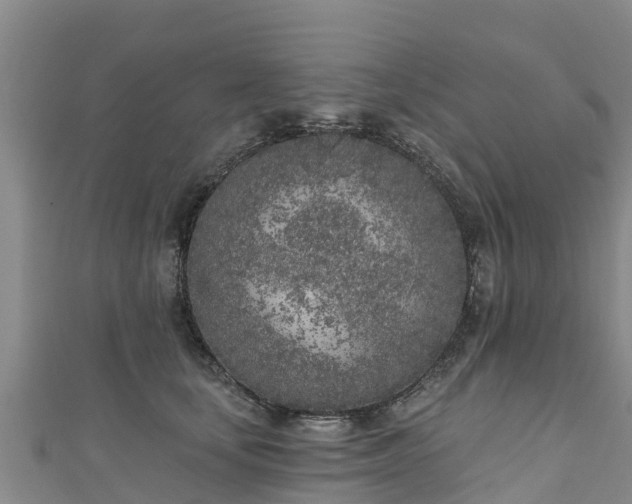 X0000111180659200907081236