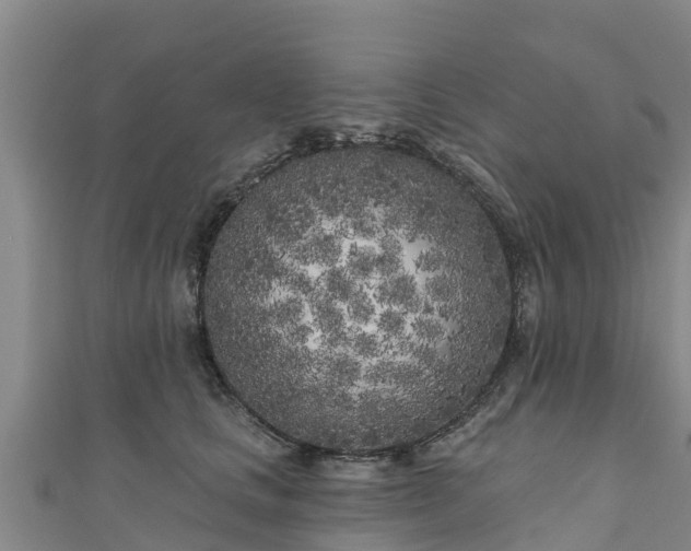 X0000111180661200907081236