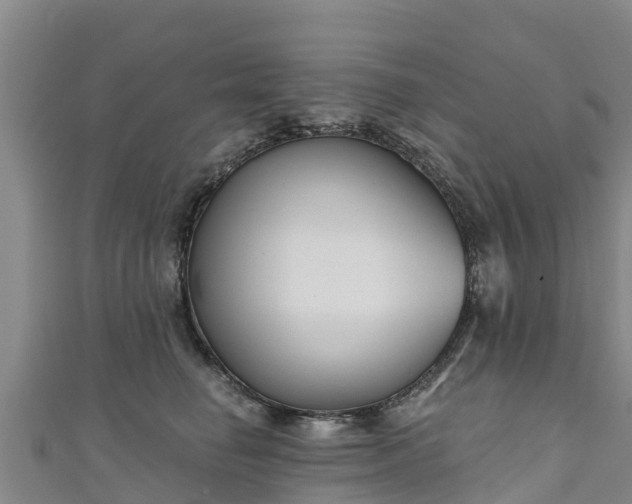 X0000111180662200907081236