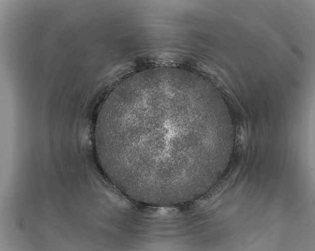 X0000111180663200907081236