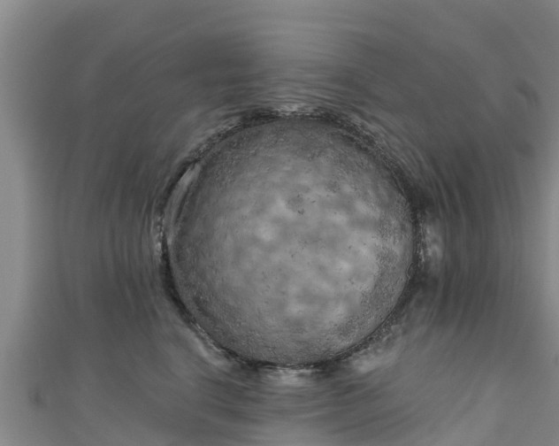 X0000111180664200907081236