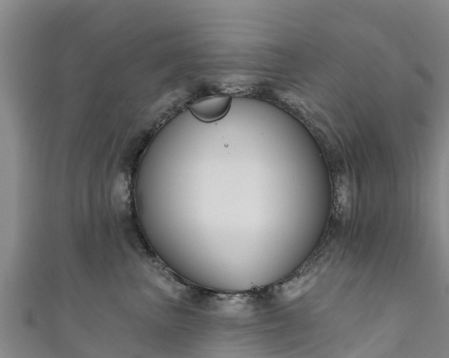 X0000111180667200907081236