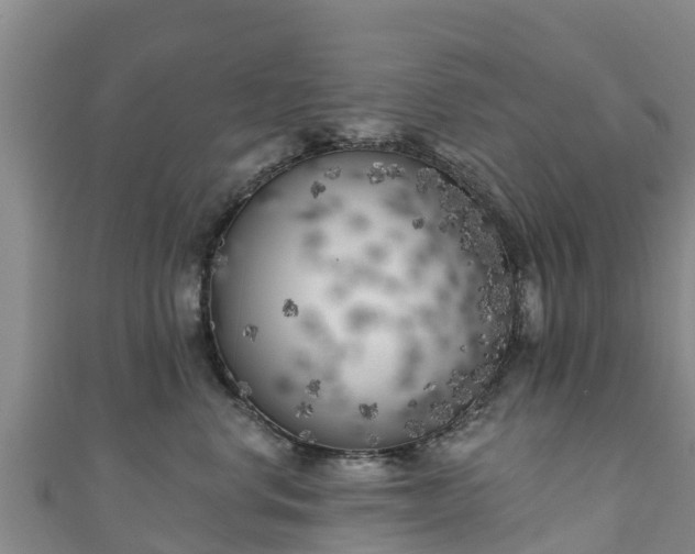 X0000111180668200907081236