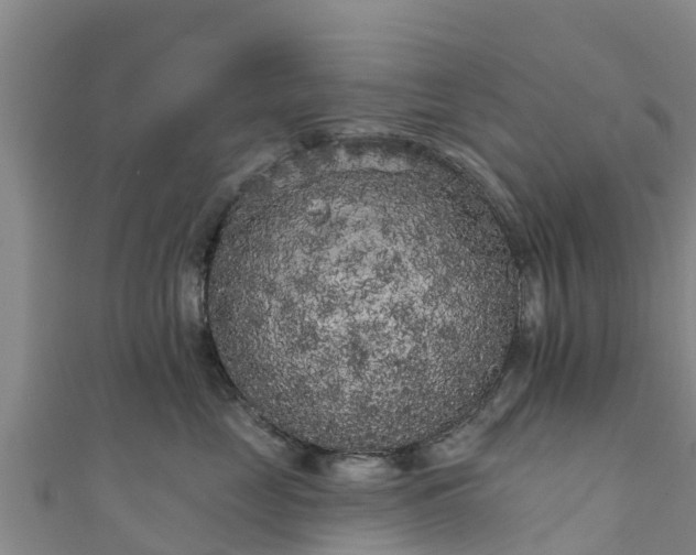 X0000111180669200907081236