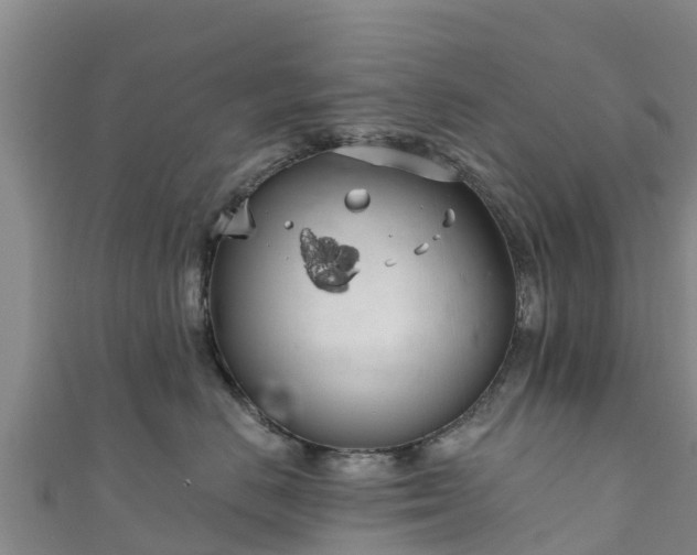 X0000111180670200907081236