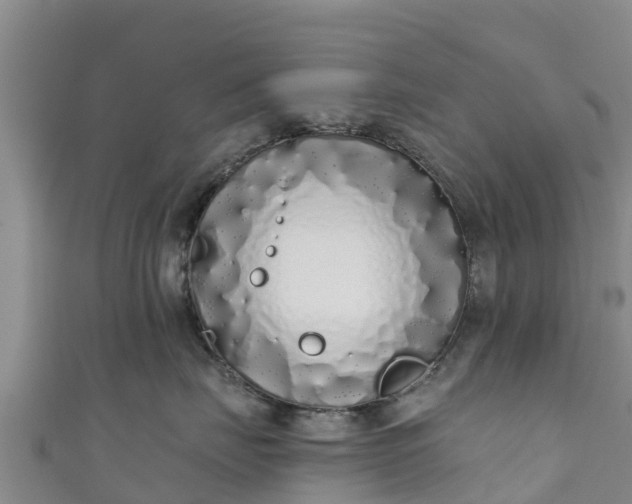 X0000111180671200907081236