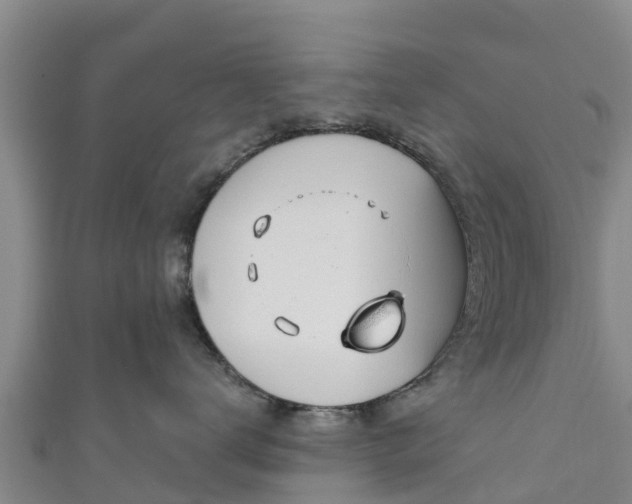 X0000111180672200907081236