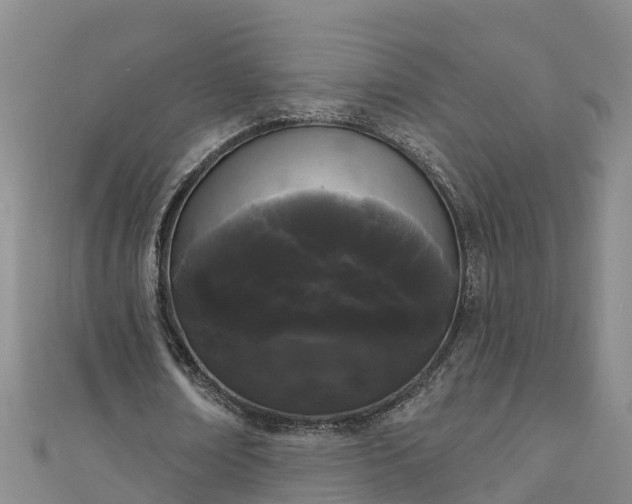 X0000111180674200907081236