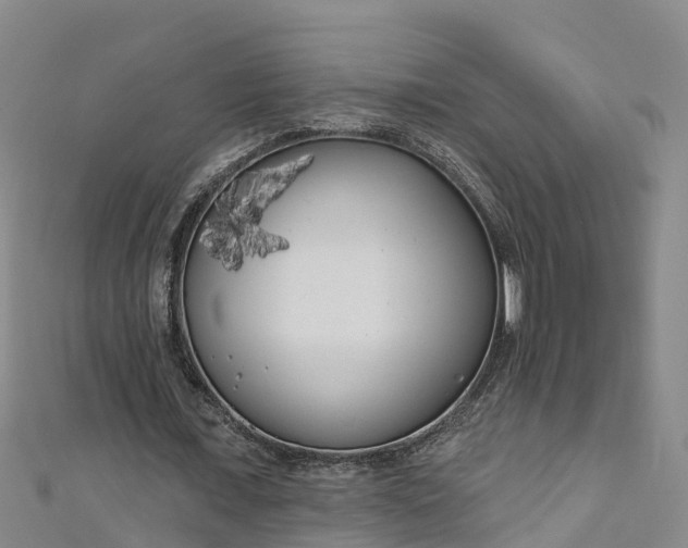 X0000111180675200907081236