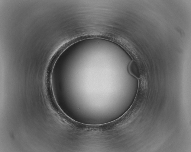 X0000111180676200907081236