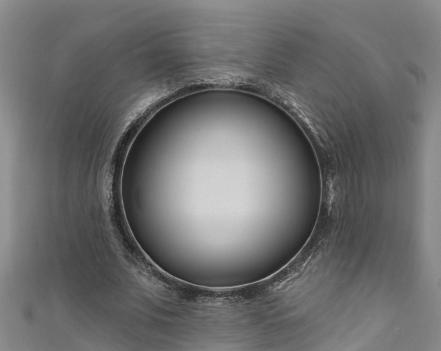 X0000111180679200907081236