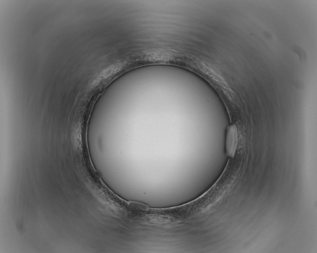 X0000111180681200907081236