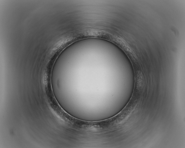 X0000111180683200907081236