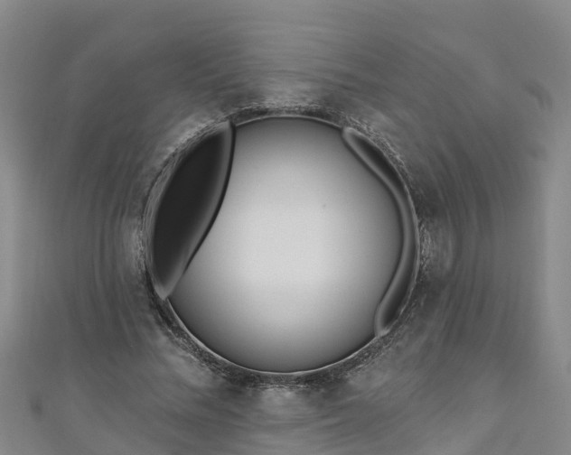 X0000111180684200907081236