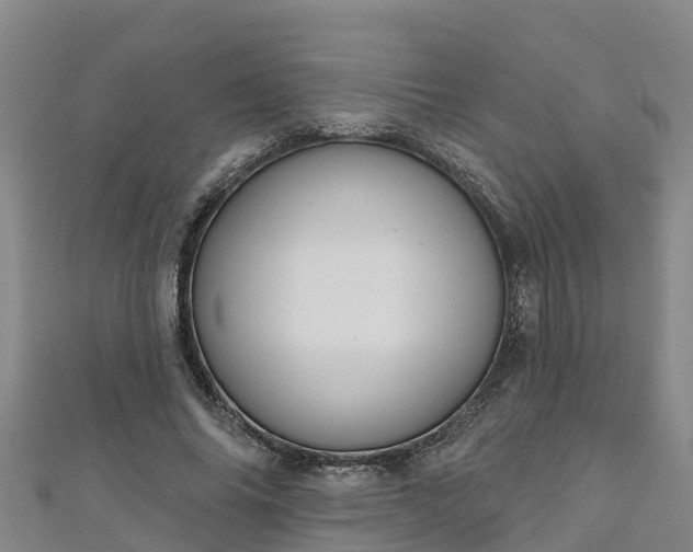 X0000111180686200907081236