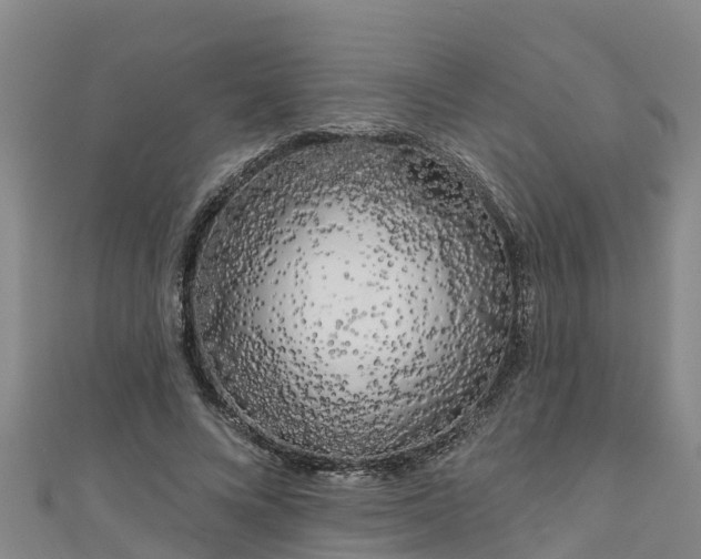 X0000111180688200907081236