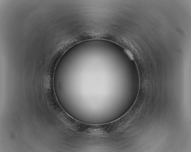 X0000111180689200907081236