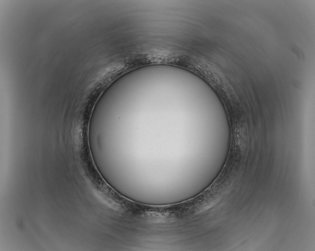 X0000111180690200907081236