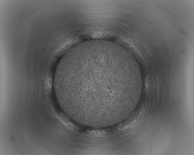 X0000111180691200907081236