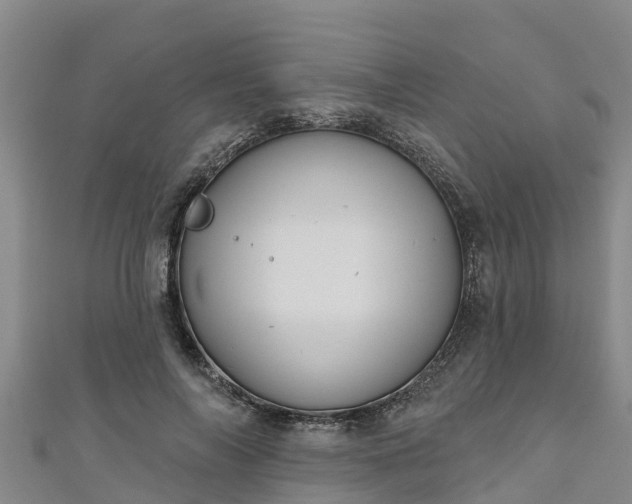 X0000111180694200907081236