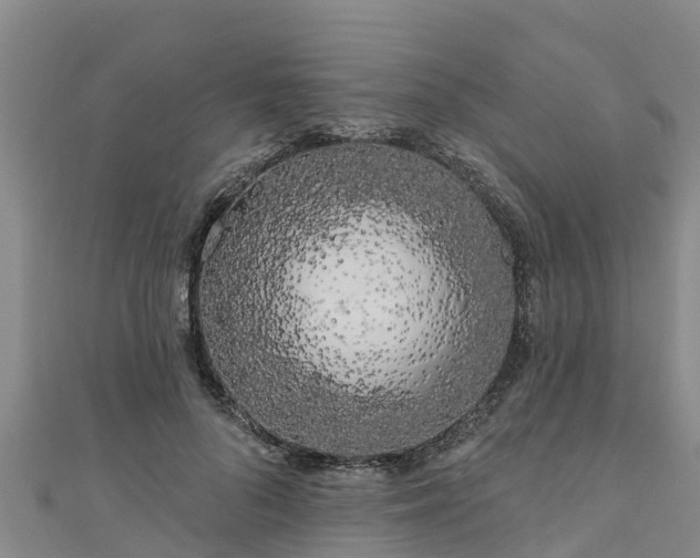 X0000111180696200907081236