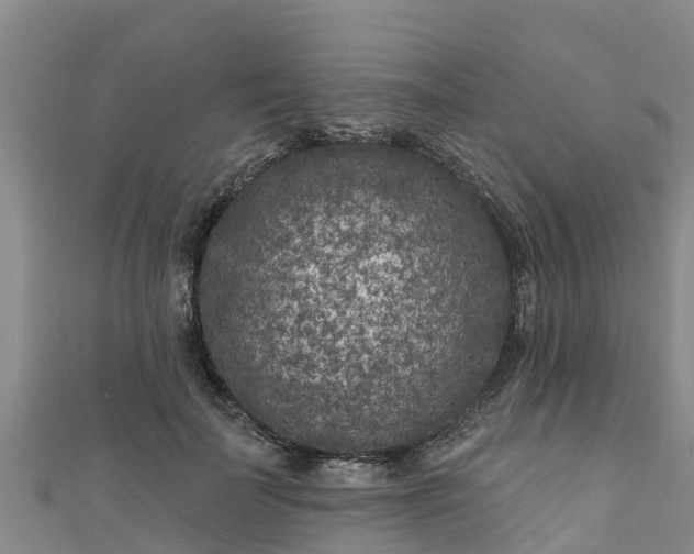 X0000111180699200907081236