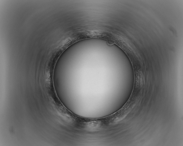 X0000111180700200907081236