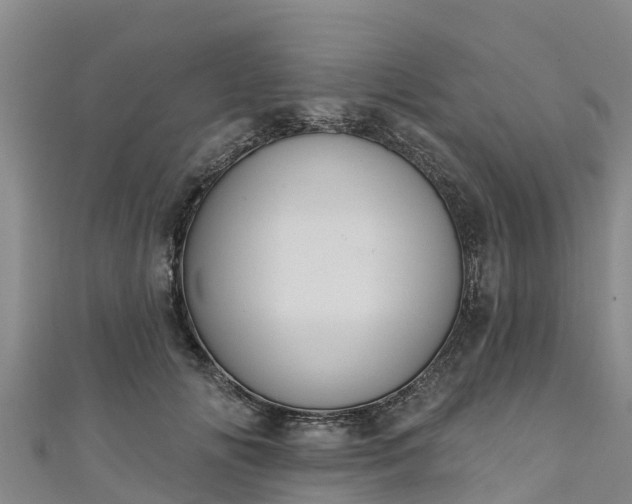 X0000111180702200907081235