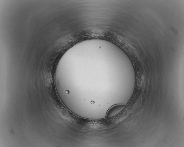 X0000111180704200907081235