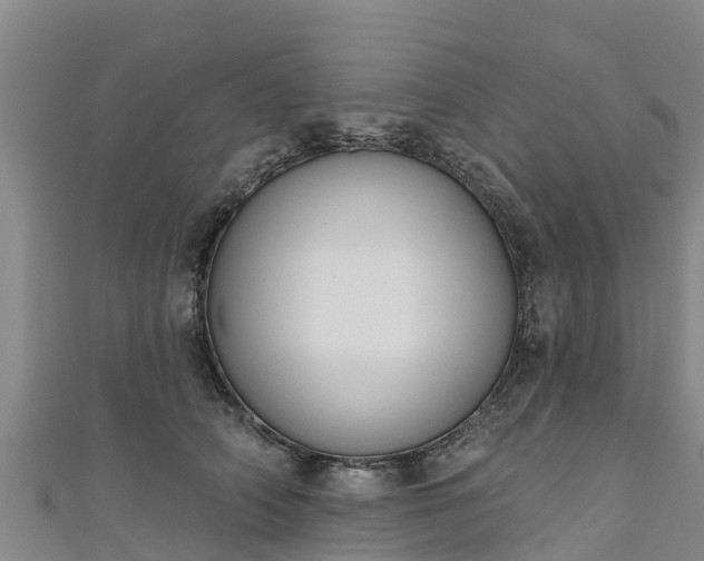 X0000111180706200907081235