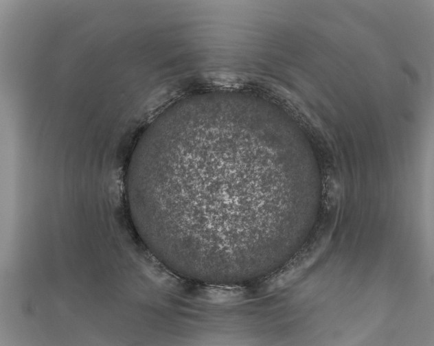 X0000111180707200907081235