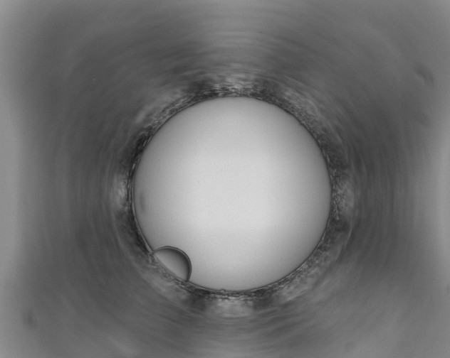 X0000111180709200907081235